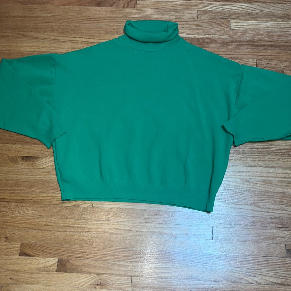 This is a Zara bright green turtle neck from their winter 2022 collection.